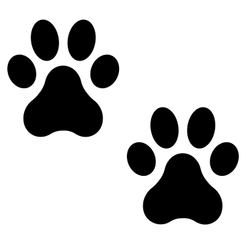 celebrating the life of Janice Jones